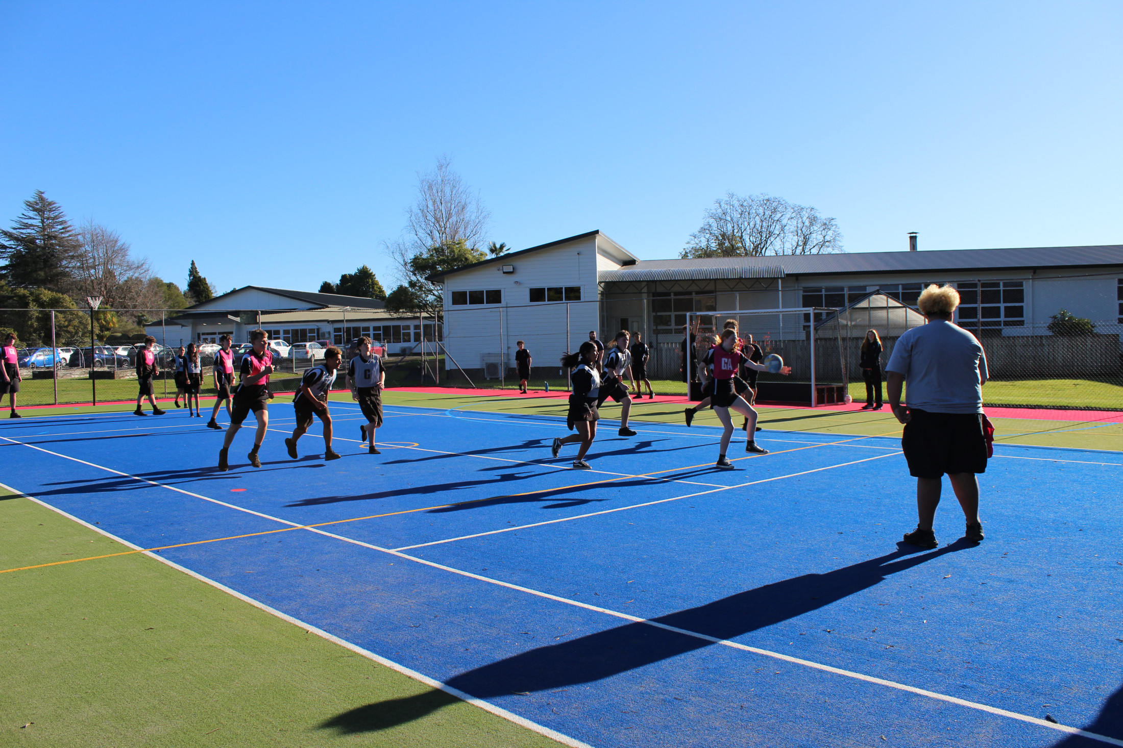 Sports Turf